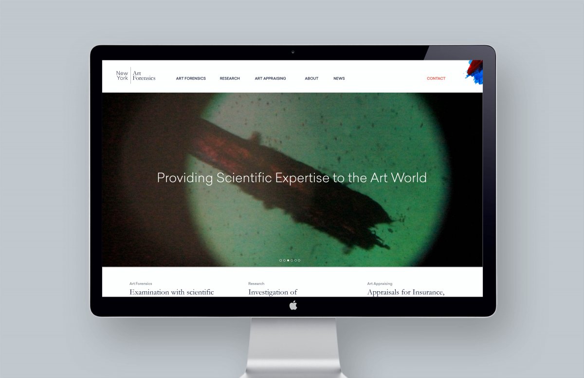 New York Art Forensics Franziska Stetter